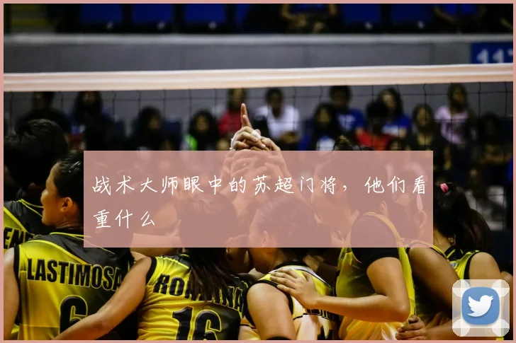 战术大师眼中的苏超门将，他们看重什么