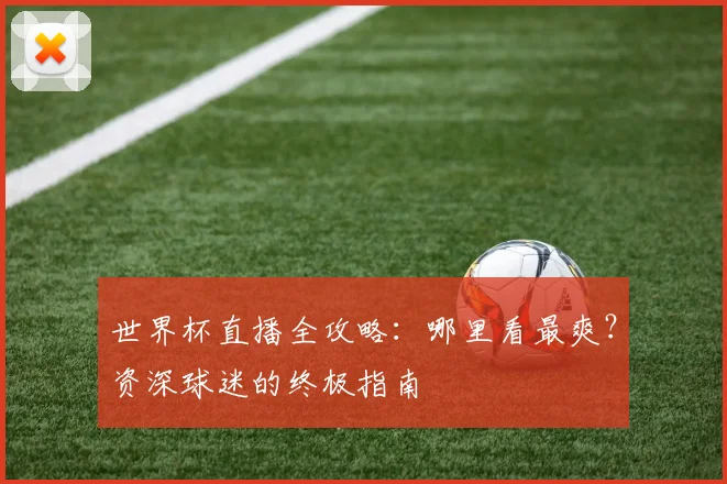 世界杯直播全攻略：哪里看最爽？资深球迷的终极指南